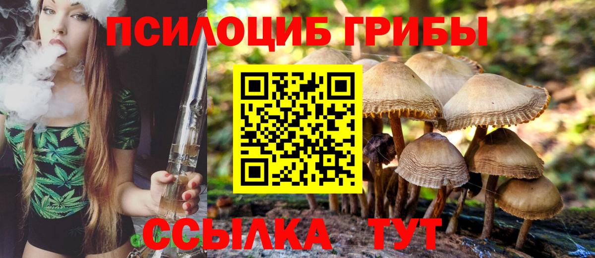 Псилоцибиновые грибы Magic Shrooms  Вход с VPN  Калач-на-Дону 