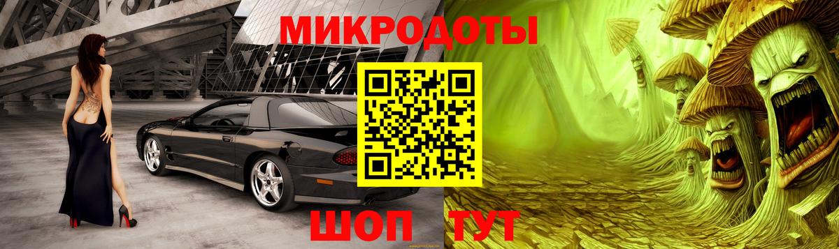 Галлюциногенные грибы Psilocybine cubensis Калач-на-Дону